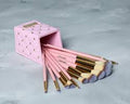 BH Brush 15 Piece  Set